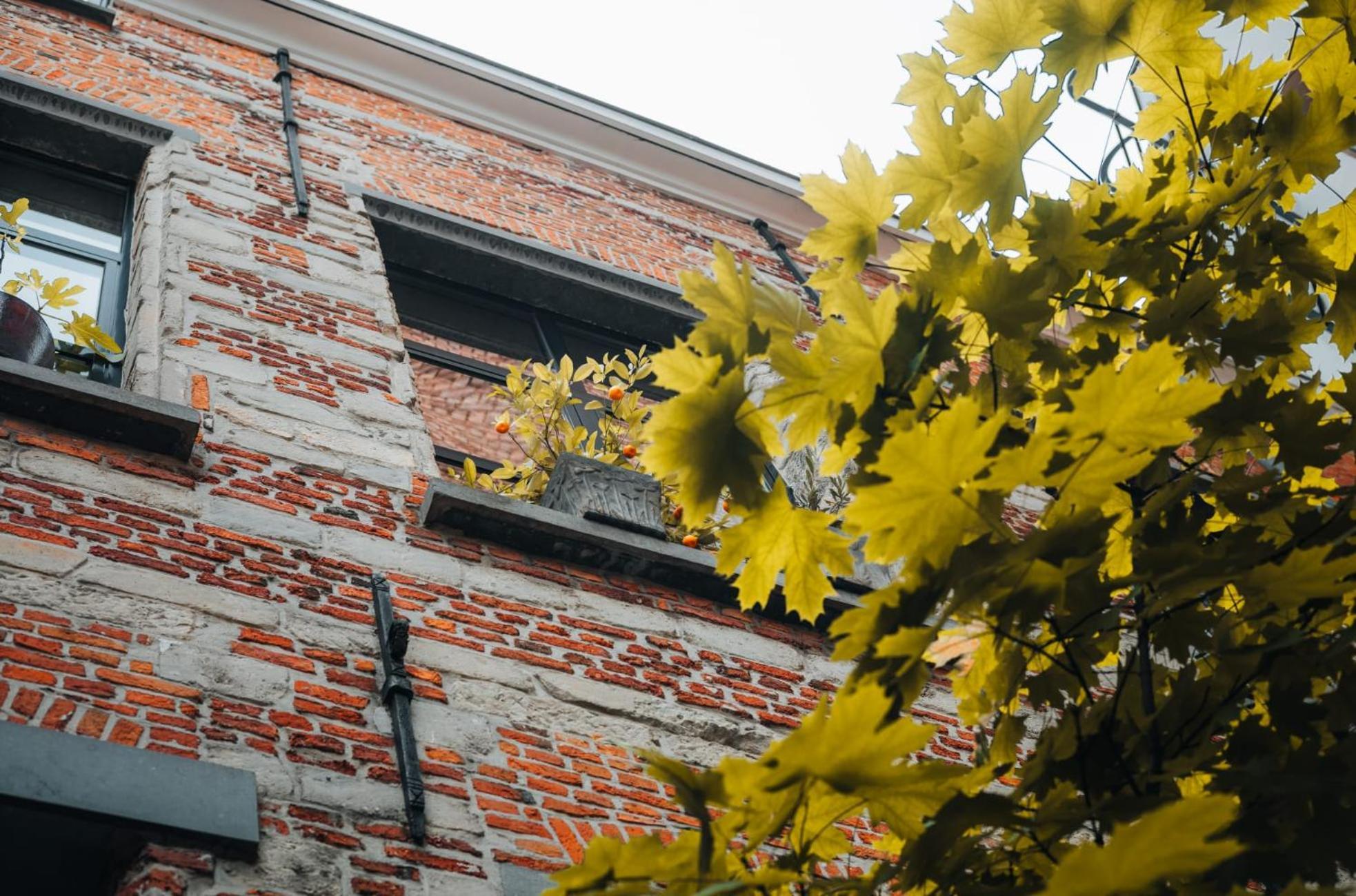 Апартаменты Duplex In Historical Centre With Private Courtyard Антверпен Экстерьер фото